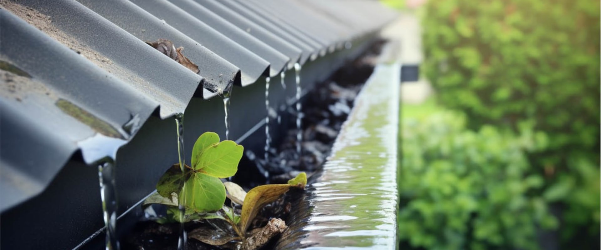 Essential Guide to Gutter and Downspout Maintenance for Homeowners