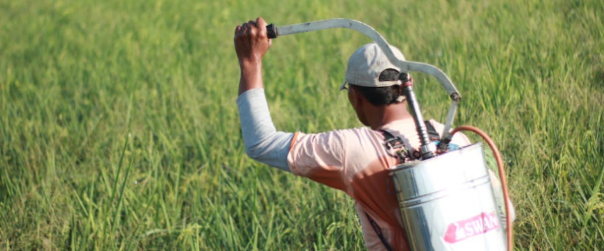 Effective Strategies to Keep Pests Out of Your Home