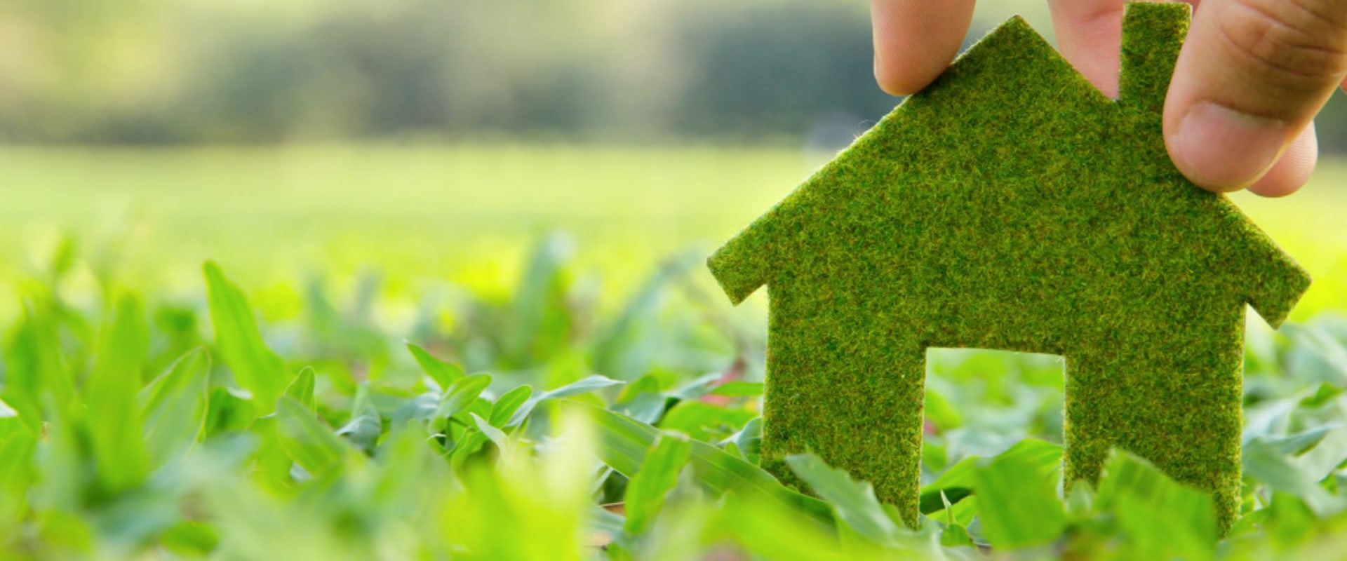 Sustainable Solutions for Home Repair and Maintenance