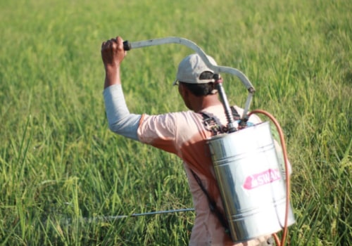 Effective Strategies to Keep Pests Out of Your Home